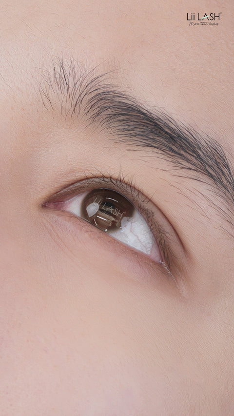 Premium Silk - Classic Lashes - 0.1mm